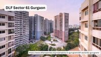  DLF Sector 61 Gurgaon