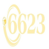 6623