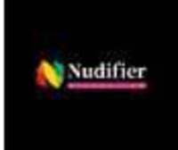  Nudifier AI Tool