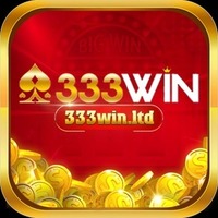 333Win
