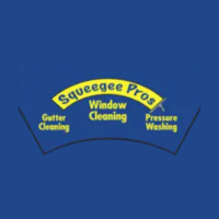  Squeegee Pros