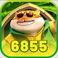 6855ukcom