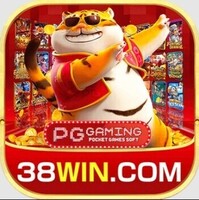 38wingamecombr
