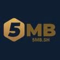 5MB