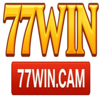77WIN CAM
