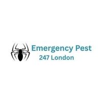  Pest Control 24 London