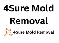 4Sure Mold Removal