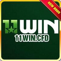 11wincfd