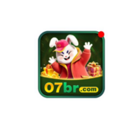 07br