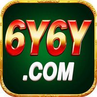 6Y6Y