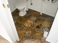  Water Removal Service