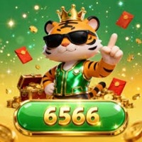 6566