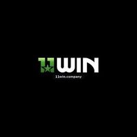 11WIN COMPANY